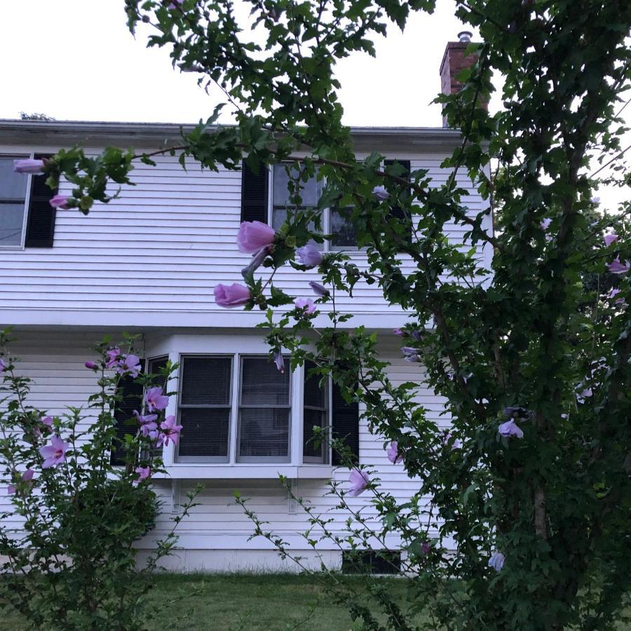 Room In Single Family House - Suburban Neighborhood In Boston Exteriör bild